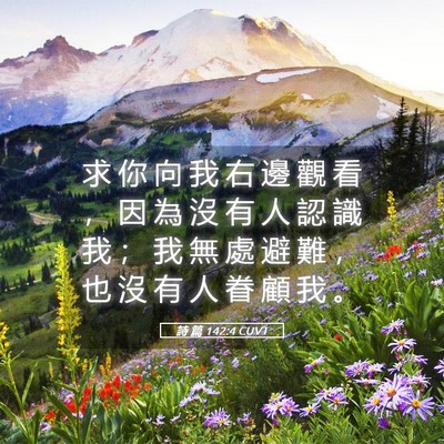 Picture 05 - 詩 篇 142:4 CUVT - 求 你 向 我 右 邊 觀 看 ， 因 為 沒 - Bible Verse Picture