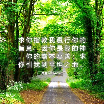 Picture 05 - 詩 篇 143:10 CUVT - 求 你 指 教 我 遵 行 你 的 旨 意 ， - Bible Verse Picture