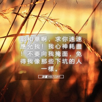 Picture 05 - 詩 篇 143:7 CUVT - 耶 和 華 啊 ， 求 你 速 速 應 允 我 - Bible Verse Picture