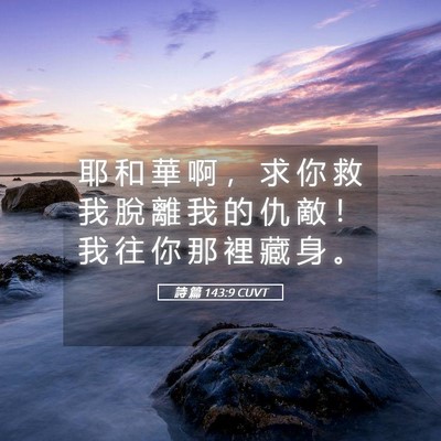 Picture 05 - 詩 篇 143:9 CUVT - 耶 和 華 啊 ， 求 你 救 我 脫 離 我 - Bible Verse Picture