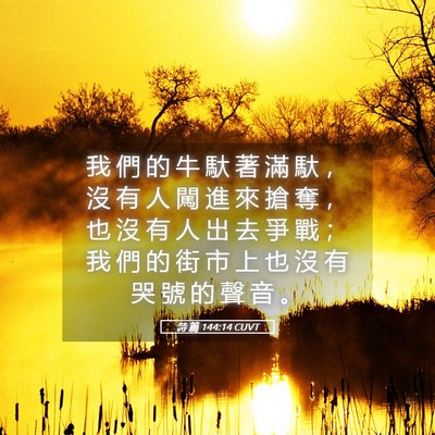 Picture 05 - 詩 篇 144:14 CUVT - 我 們 的 牛 馱 著 滿 馱 ， 沒 有 人 - Bible Verse Picture