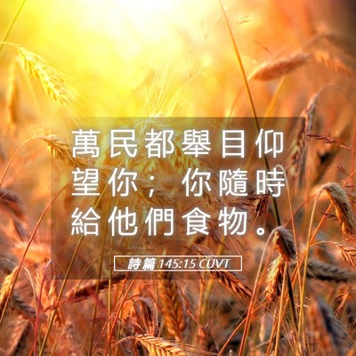 Picture 05 - 詩 篇 145:15 CUVT - 萬 民 都 舉 目 仰 望 你 ； 你 隨 時 - Bible Verse Picture