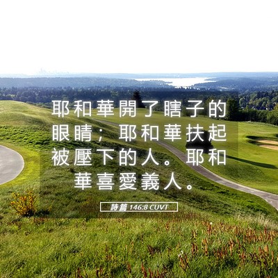 Picture 05 - 詩 篇 146:8 CUVT - 耶 和 華 開 了 瞎 子 的 眼 睛 ； 耶 - Bible Verse Picture