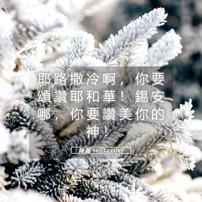 Picture 05 - 詩 篇 147:12 CUVT - 耶 路 撒 冷 啊 ， 你 要 頌 讚 耶 和 - Bible Verse Picture