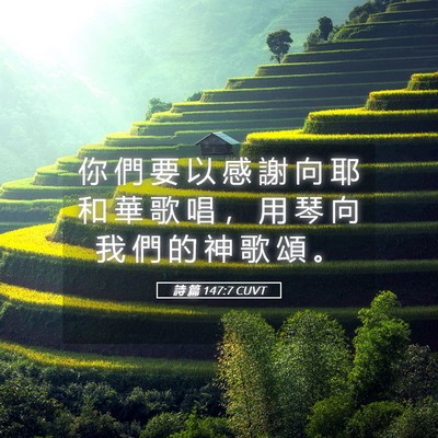 Picture 05 - 詩 篇 147:7 CUVT - 你 們 要 以 感 謝 向 耶 和 華 歌 唱 - Bible Verse Picture