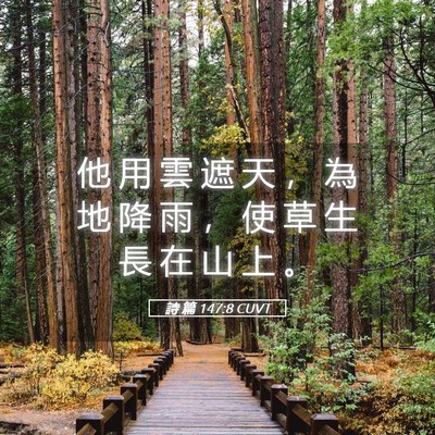 Picture 05 - 詩 篇 147:8 CUVT - 他 用 雲 遮 天 ， 為 地 降 雨 ， 使 - Bible Verse Picture