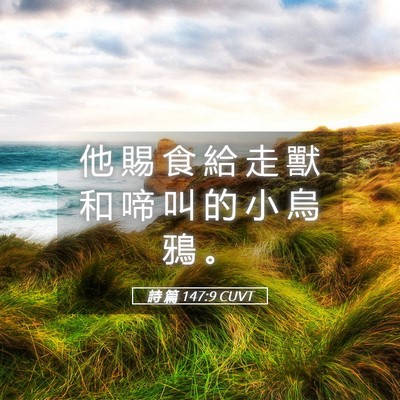 Picture 05 - 詩 篇 147:9 CUVT - 他 賜 食 給 走 獸 和 啼 叫 的 小 烏 - Bible Verse Picture
