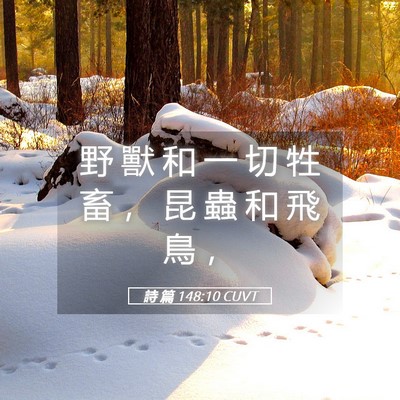 Picture 05 - 詩 篇 148:10 CUVT - 野 獸 和 一 切 牲 畜 ， 昆 蟲 和 飛 - Bible Verse Picture