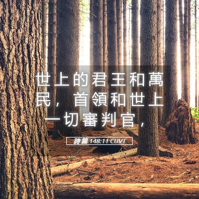 Picture 05 - 詩 篇 148:11 CUVT - 世 上 的 君 王 和 萬 民 ， 首 領 和 - Bible Verse Picture