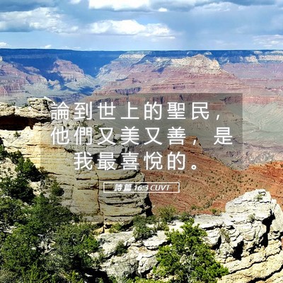 Picture 05 - 詩 篇 16:3 CUVT - 論 到 世 上 的 聖 民 ， 他 們 又 美 - Bible Verse Picture