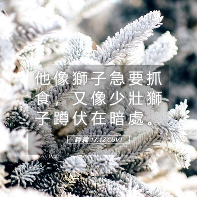 Picture 05 - 詩 篇 17:12 CUVT - 他 像 獅 子 急 要 抓 食 ， 又 像 少 - Bible Verse Picture