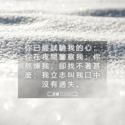 Picture 05 - 詩 篇 17:3 CUVT - 你 已 經 試 驗 我 的 心 ； 你 在 夜 - Bible Verse Picture