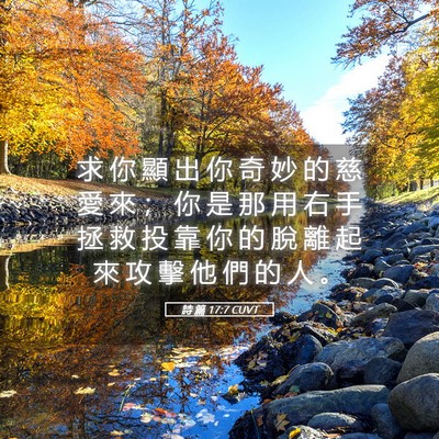 Picture 05 - 詩 篇 17:7 CUVT - 求 你 顯 出 你 奇 妙 的 慈 愛 來 ； - Bible Verse Picture