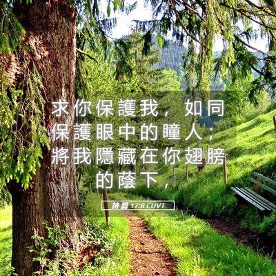 Picture 05 - 詩 篇 17:8 CUVT - 求 你 保 護 我 ， 如 同 保 護 眼 中 - Bible Verse Picture