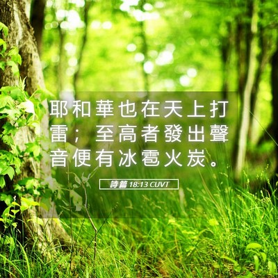 Picture 05 - 詩 篇 18:13 CUVT - 耶 和 華 也 在 天 上 打 雷 ； 至 高 - Bible Verse Picture