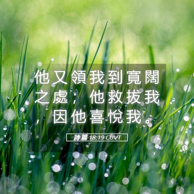 Picture 05 - 詩 篇 18:19 CUVT - 他 又 領 我 到 寬 闊 之 處 ； 他 救 - Bible Verse Picture