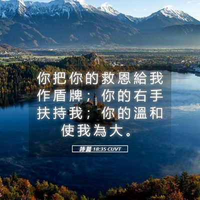 Picture 05 - 詩 篇 18:35 CUVT - 你 把 你 的 救 恩 給 我 作 盾 牌 ； - Bible Verse Picture