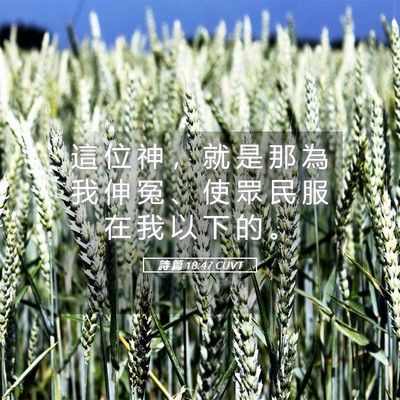 Picture 05 - 詩 篇 18:47 CUVT - 這 位 神 ， 就 是 那 為 我 伸 冤 、 - Bible Verse Picture