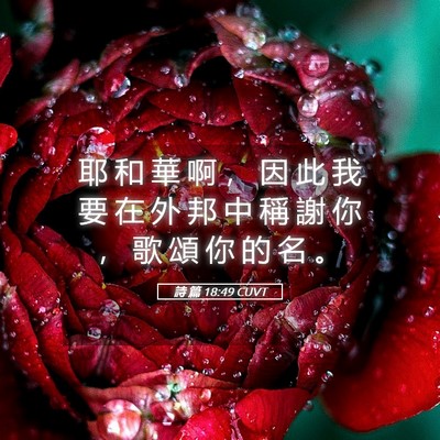 Picture 05 - 詩 篇 18:49 CUVT - 耶 和 華 啊 ， 因 此 我 要 在 外 邦 - Bible Verse Picture