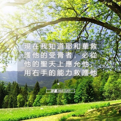 Picture 05 - 詩 篇 20:6 CUVT - 現 在 我 知 道 耶 和 華 救 護 他 的 - Bible Verse Picture