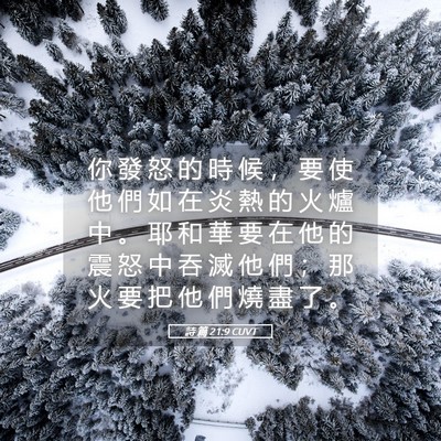 Picture 05 - 詩 篇 21:9 CUVT - 你 發 怒 的 時 候 ， 要 使 他 們 如 - Bible Verse Picture