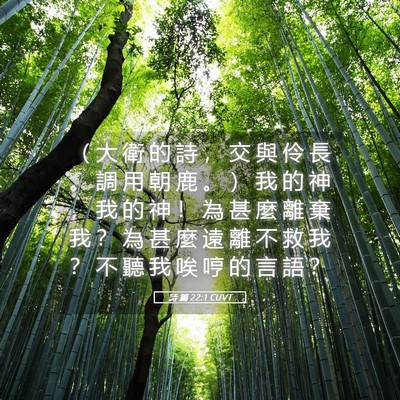 Picture 05 - 詩 篇 22:1 CUVT - （ 大 衛 的 詩 ， 交 與 伶 長 。 調 - Bible Verse Picture