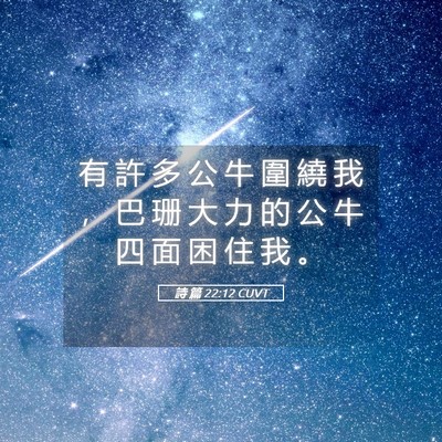 Picture 05 - 詩 篇 22:12 CUVT - 有 許 多 公 牛 圍 繞 我 ， 巴 珊 大 - Bible Verse Picture