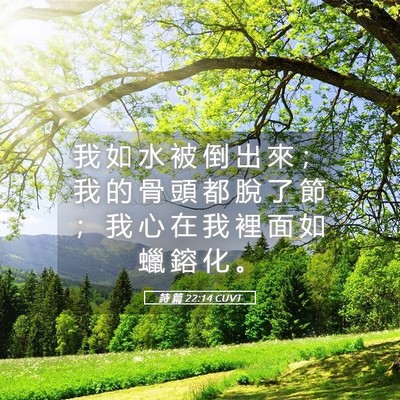 Picture 05 - 詩 篇 22:14 CUVT - 我 如 水 被 倒 出 來 ； 我 的 骨 頭 - Bible Verse Picture