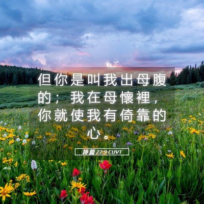 Picture 05 - 詩 篇 22:9 CUVT - 但 你 是 叫 我 出 母 腹 的 ； 我 在 - Bible Verse Picture