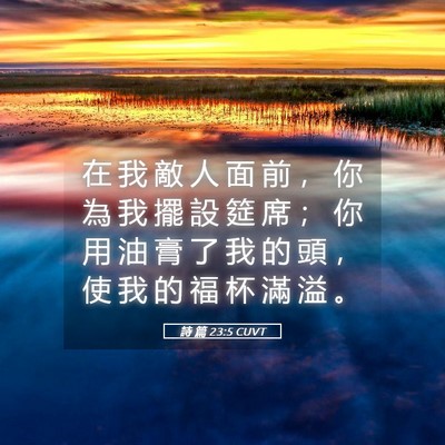 Picture 05 - 詩 篇 23:5 CUVT - 在 我 敵 人 面 前 ， 你 為 我 擺 設 - Bible Verse Picture