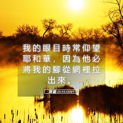 Picture 05 - 詩 篇 25:15 CUVT - 我 的 眼 目 時 常 仰 望 耶 和 華 ， - Bible Verse Picture