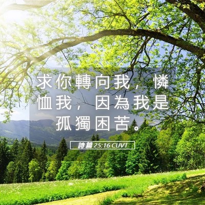 Picture 05 - 詩 篇 25:16 CUVT - 求 你 轉 向 我 ， 憐 恤 我 ， 因 為 - Bible Verse Picture