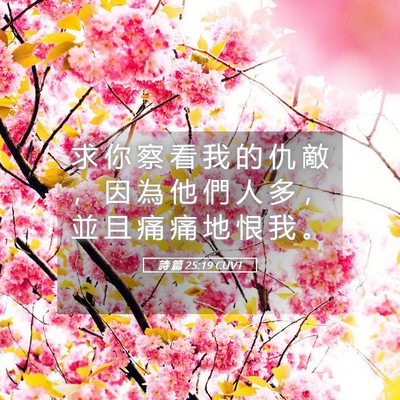 Picture 05 - 詩 篇 25:19 CUVT - 求 你 察 看 我 的 仇 敵 ， 因 為 他 - Bible Verse Picture