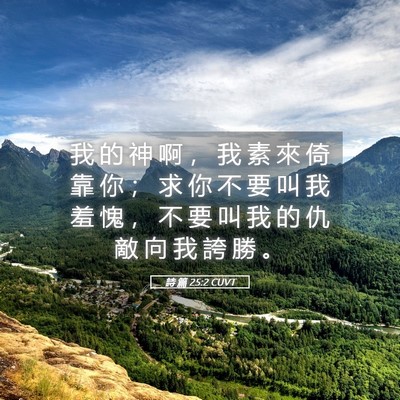 Picture 05 - 詩 篇 25:2 CUVT - 我 的 神 啊 ， 我 素 來 倚 靠 你 ； - Bible Verse Picture