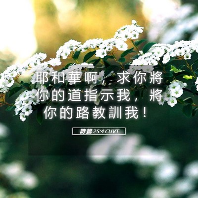 Picture 05 - 詩 篇 25:4 CUVT - 耶 和 華 啊 ， 求 你 將 你 的 道 指 - Bible Verse Picture