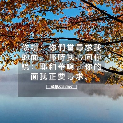 Picture 05 - 詩 篇 27:8 CUVT - 你 說 ： 你 們 當 尋 求 我 的 面 。 - Bible Verse Picture
