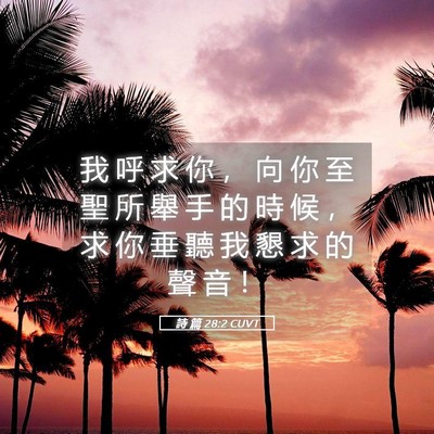 Picture 05 - 詩 篇 28:2 CUVT - 我 呼 求 你 ， 向 你 至 聖 所 舉 手 - Bible Verse Picture