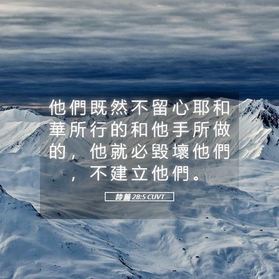 Picture 05 - 詩 篇 28:5 CUVT - 他 們 既 然 不 留 心 耶 和 華 所 行 - Bible Verse Picture