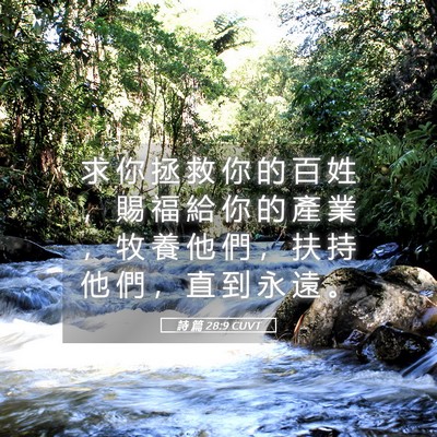 Picture 05 - 詩 篇 28:9 CUVT - 求 你 拯 救 你 的 百 姓 ， 賜 福 給 - Bible Verse Picture