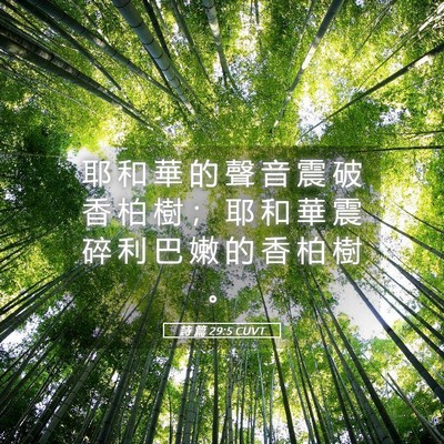 Picture 05 - 詩 篇 29:5 CUVT - 耶 和 華 的 聲 音 震 破 香 柏 樹 ； - Bible Verse Picture