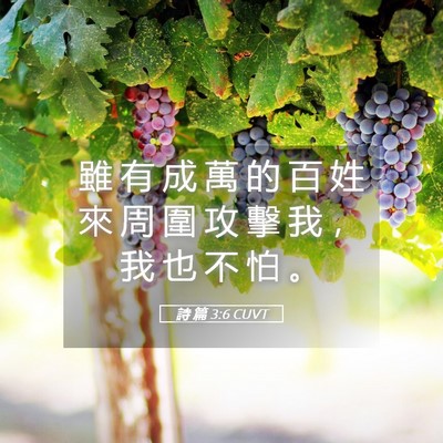 Picture 05 - 詩 篇 3:6 CUVT - 雖 有 成 萬 的 百 姓 來 周 圍 攻 擊 - Bible Verse Picture