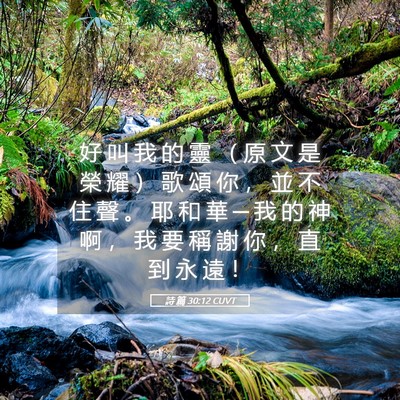 Picture 05 - 詩 篇 30:12 CUVT - 好 叫 我 的 靈 （ 原 文 是 榮 耀 ） - Bible Verse Picture