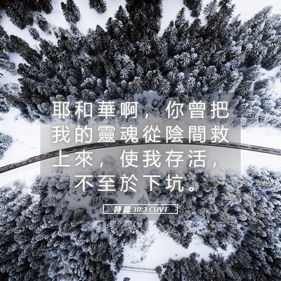 Picture 05 - 詩 篇 30:3 CUVT - 耶 和 華 啊 ， 你 曾 把 我 的 靈 魂 - Bible Verse Picture