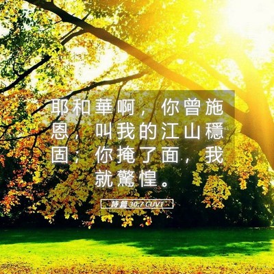 Picture 05 - 詩 篇 30:7 CUVT - 耶 和 華 啊 ， 你 曾 施 恩 ， 叫 我 - Bible Verse Picture
