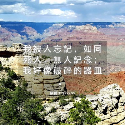 Picture 05 - 詩 篇 31:12 CUVT - 我 被 人 忘 記 ， 如 同 死 人 ， 無 - Bible Verse Picture