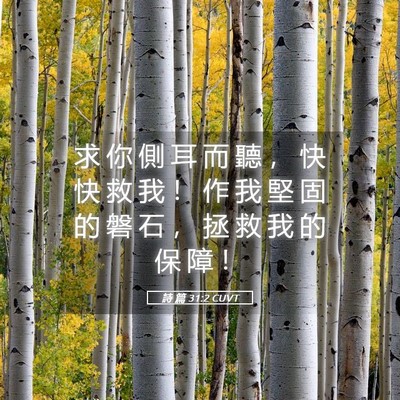 Picture 05 - 詩 篇 31:2 CUVT - 求 你 側 耳 而 聽 ， 快 快 救 我 ！ - Bible Verse Picture