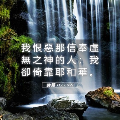 Picture 05 - 詩 篇 31:6 CUVT - 我 恨 惡 那 信 奉 虛 無 之 神 的 人 - Bible Verse Picture
