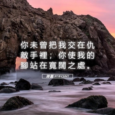 Picture 05 - 詩 篇 31:8 CUVT - 你 未 曾 把 我 交 在 仇 敵 手 裡 ； - Bible Verse Picture