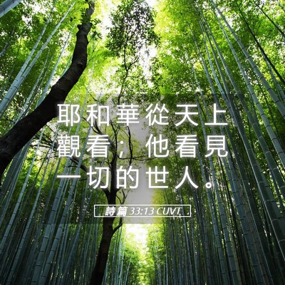 Picture 05 - 詩 篇 33:13 CUVT - 耶 和 華 從 天 上 觀 看 ； 他 看 見 - Bible Verse Picture