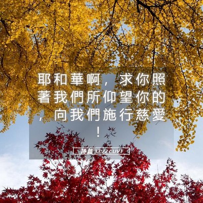 Picture 05 - 詩 篇 33:22 CUVT - 耶 和 華 啊 ， 求 你 照 著 我 們 所 - Bible Verse Picture